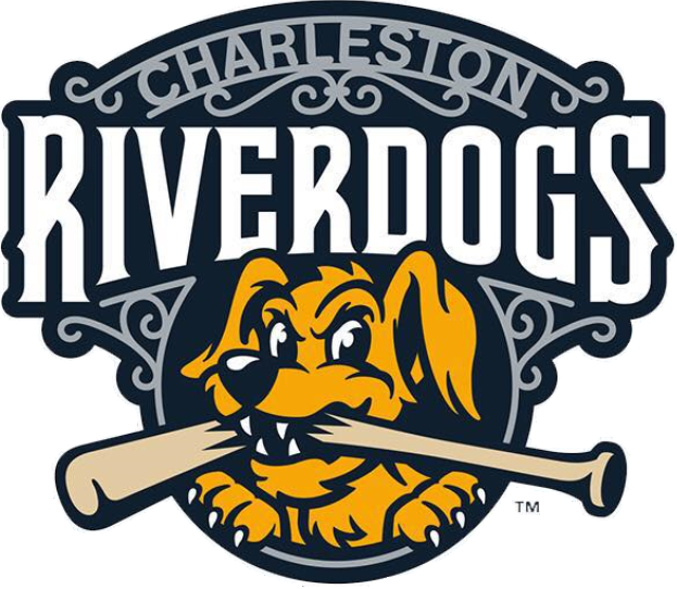 Charleston Riverdogs 2016-Pres Primary Logo decal supplier